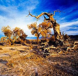 《世界大战：西伯利亚》预告片和截图分享